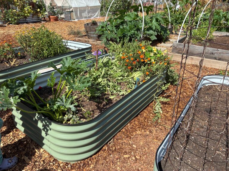 Garden program
